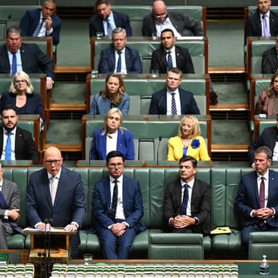 Transparency and Democracy icon